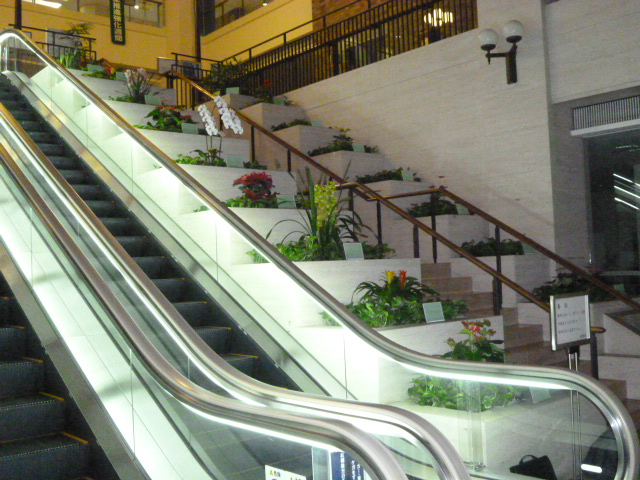 f0200477_784238.jpg