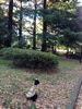 d0266681_2153386.jpg
