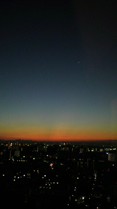 a0168186_7134065.jpg