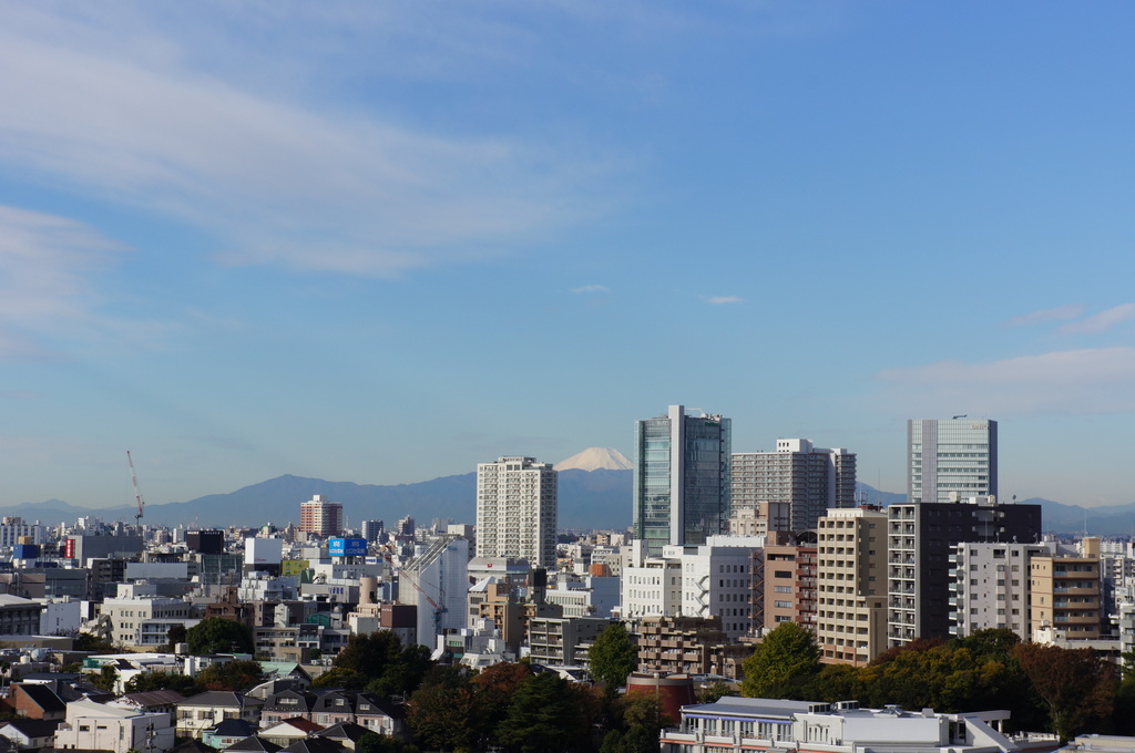 c0180686_1122455.jpg