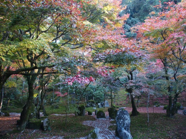 光明禅寺（太宰府市）の紅葉_a0149488_21312145.jpg