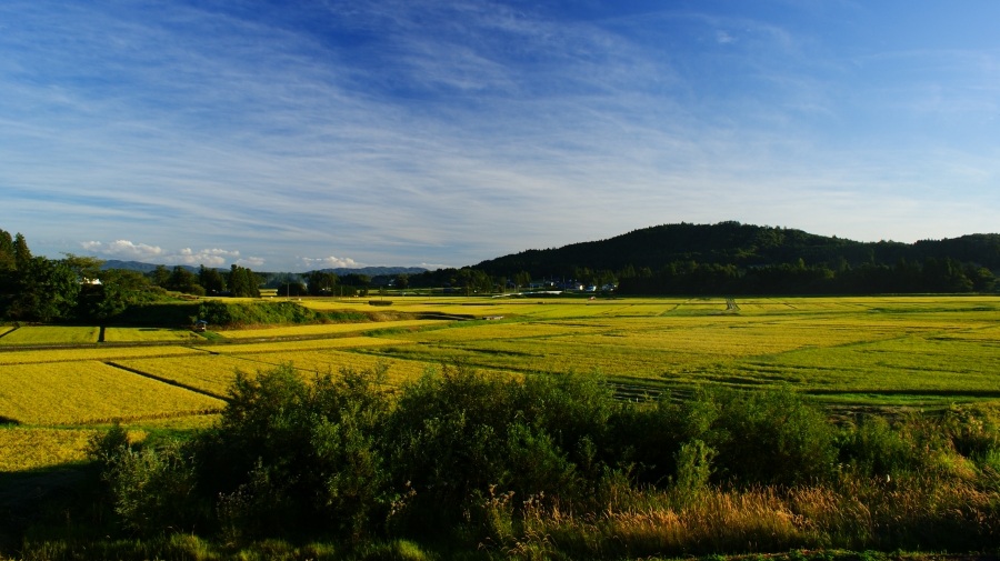 大迫の帰り道　～小山田～_c0108388_1864073.jpg