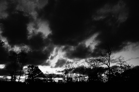 b0288598_1740748.jpg