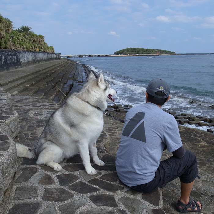 術後も元気だー_c0049299_9102251.jpg