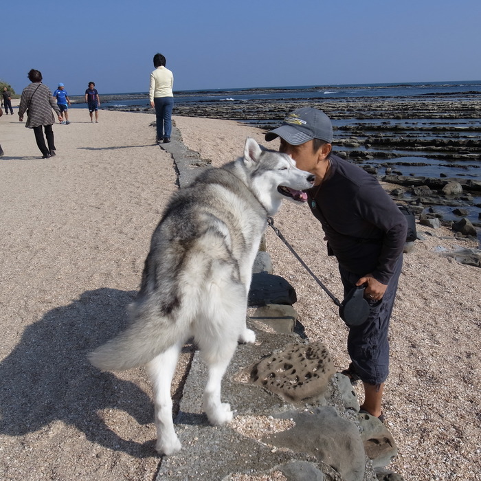 術後も元気だー_c0049299_9122369.jpg