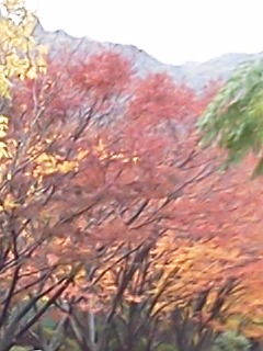 e0133701_18522887.jpg