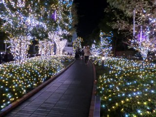 新宿サザンテラスのイルミネーション_e0137202_1549875.jpg