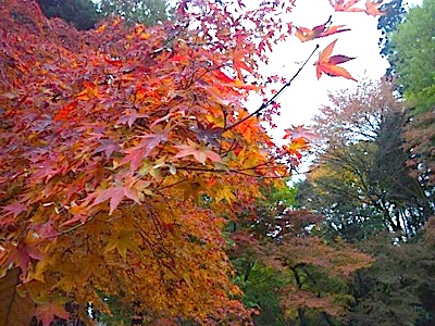 f0082402_16352171.jpg
