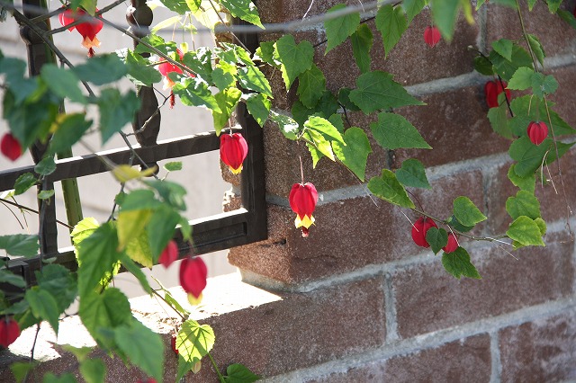 a0123003_14314190.jpg