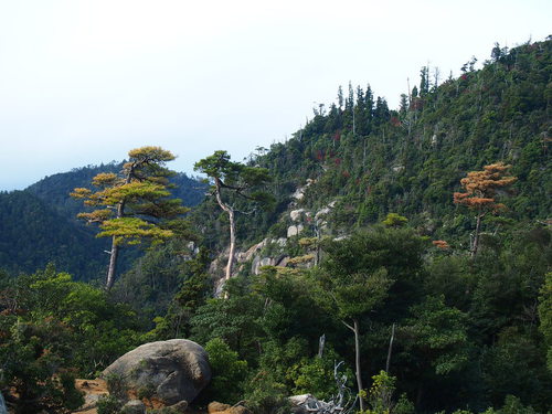 a0185007_1145193.jpg