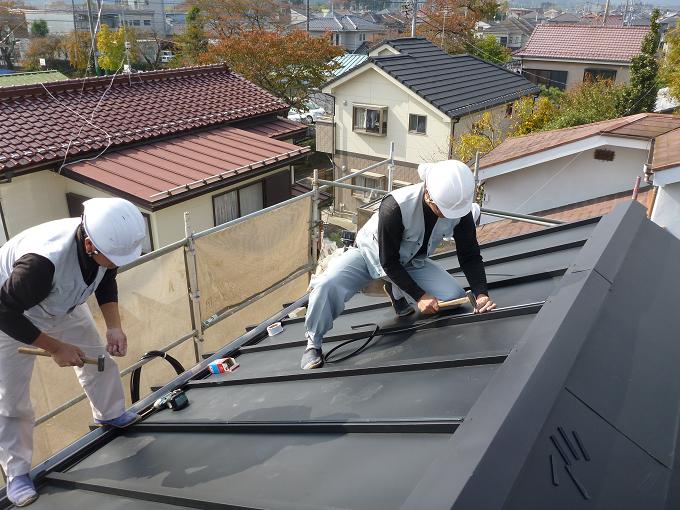 現場でみかん狩り_c0074407_20512812.jpg