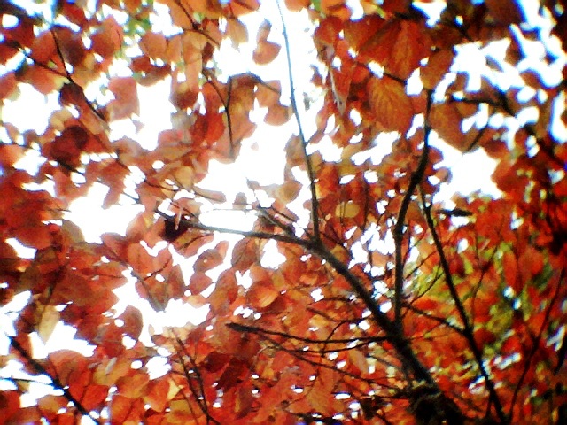 d0111107_2147448.jpg