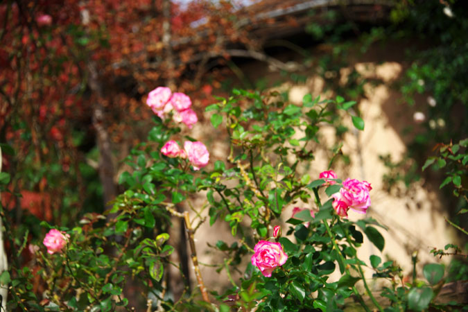a0263109_9482052.jpg