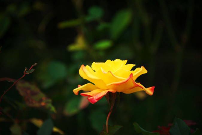 a0263109_9494167.jpg
