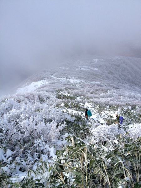 c0177814_1385357.jpg