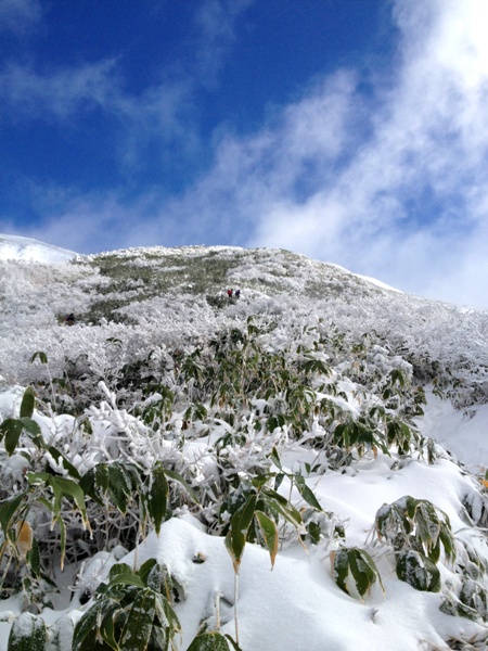 c0177814_1392463.jpg