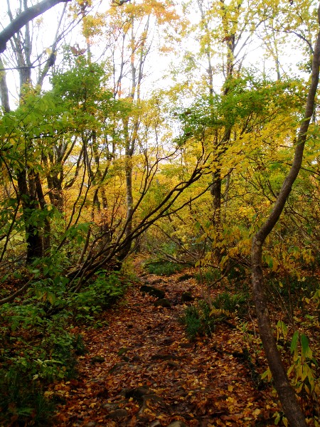 c0177814_1442680.jpg