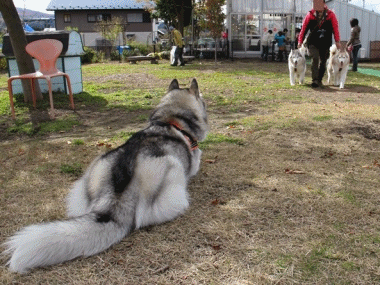 b0207615_1683137.gif