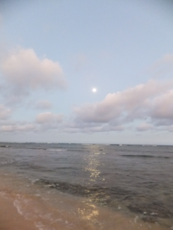 f0227218_14413049.png