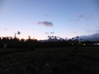 f0227218_14414544.png