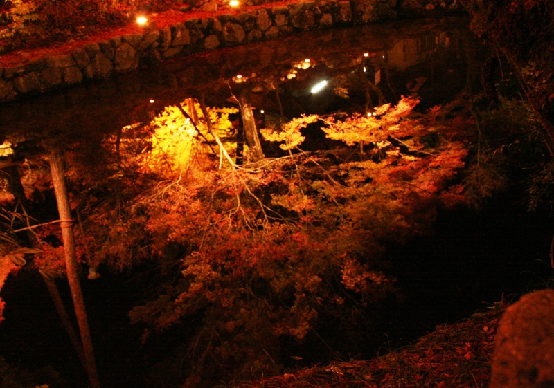 d0181824_15473915.jpg