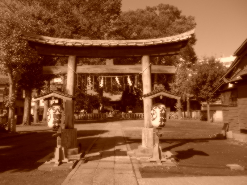 c0109827_1657934.jpg