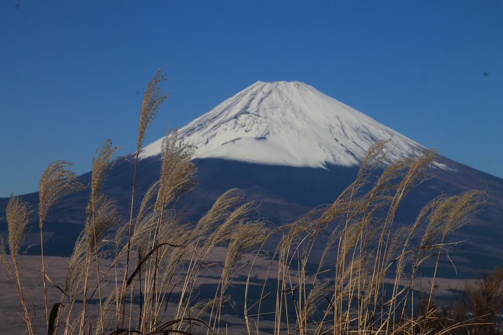 b0162728_75957.jpg