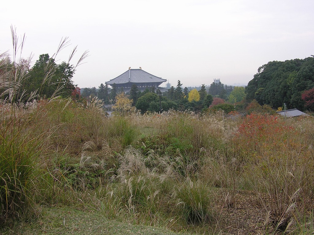 b0162728_80212.jpg