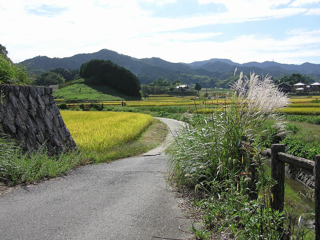 b0162728_80521.jpg