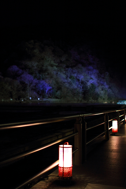 嵐山花灯路2010 －渡月橋－_b0169330_16183977.jpg