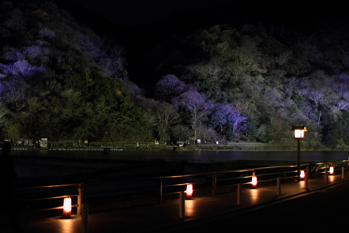 嵐山花灯路2010 －渡月橋－_b0169330_16185922.jpg