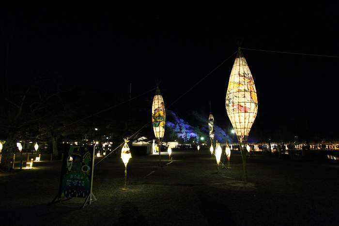 嵐山花灯路2010 －渡月橋－_b0169330_16514236.jpg