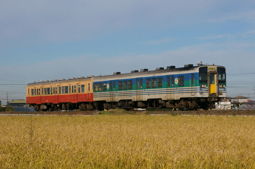 d0223231_8561141.jpg