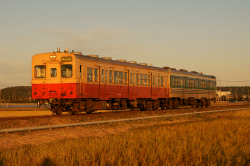 d0223231_85729100.jpg