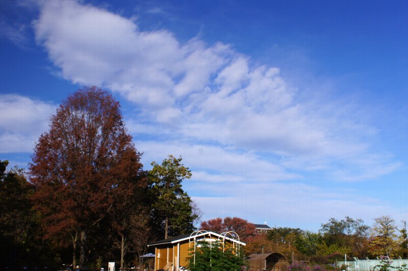a0122932_1720583.jpg