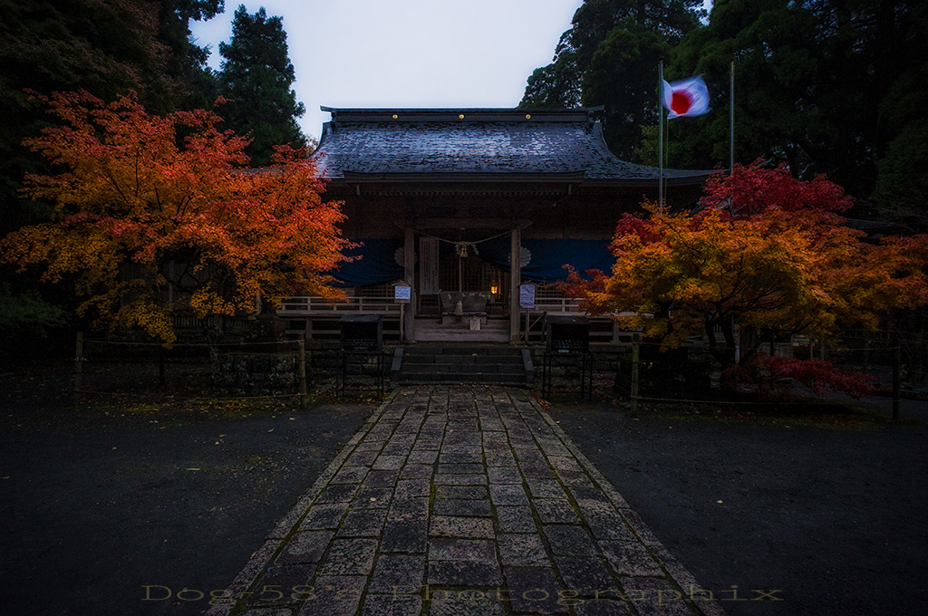 ☆ 白鳥神社 ☆_d0004832_21571271.jpg