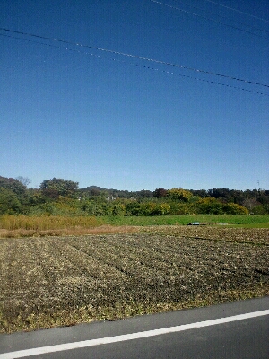 c0254533_983086.jpg
