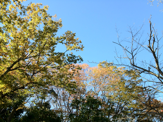 c0090639_5463412.jpg