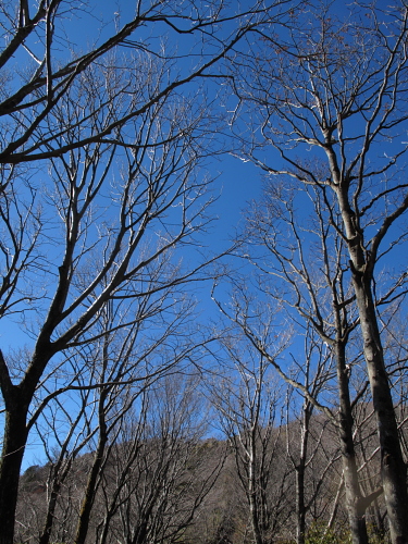 go climb a mountain part 2_f0114339_20223219.jpg