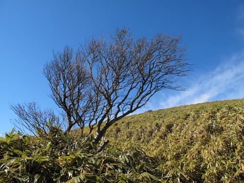 go climb a mountain part 2_f0114339_20232783.jpg