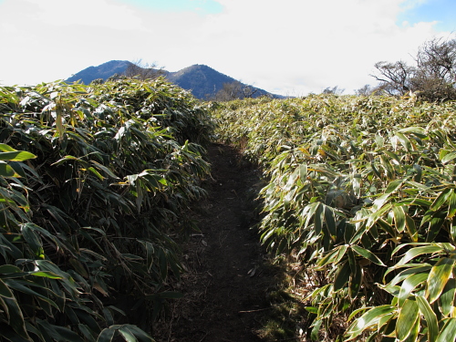 go climb a mountain part 2_f0114339_20233044.jpg