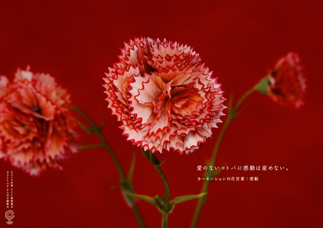 TCC　エンピツの花_a0060141_13162566.jpg