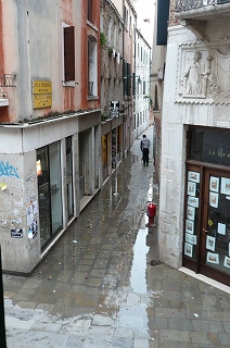 a0199341_02827.jpg