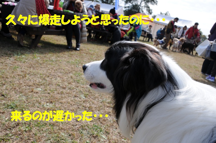 c0147241_18342079.jpg