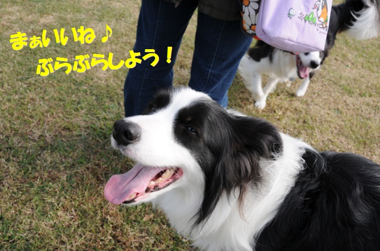 c0147241_1834331.jpg