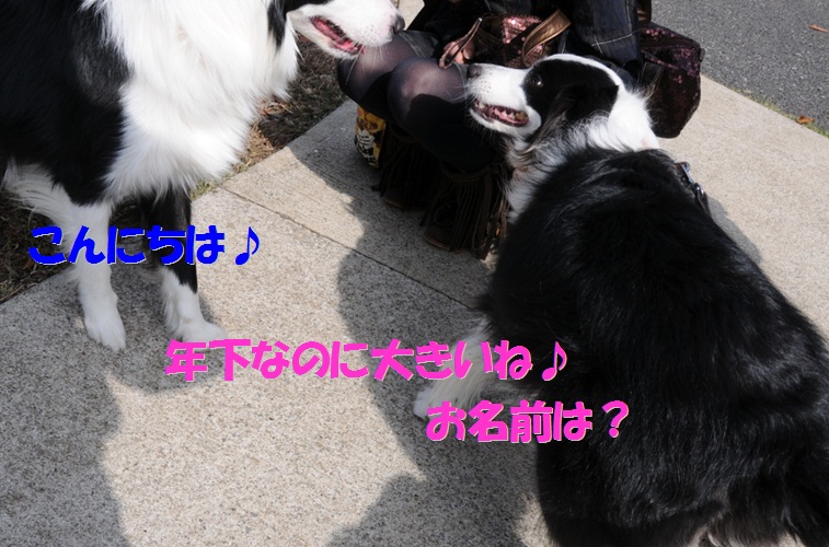 c0147241_18344729.jpg