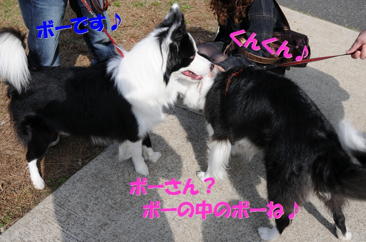 c0147241_18345514.jpg