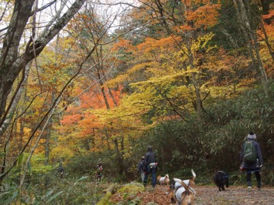 c0119142_16454733.jpg