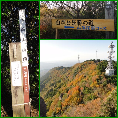 e0164643_21242892.jpg