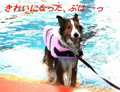 寒くなる前に泳ごう!_e0195743_16504135.jpg